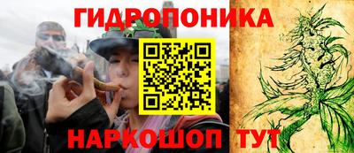 мяу мяу мука Ирбит