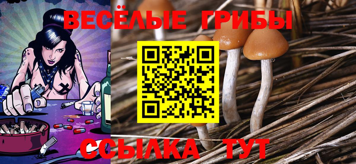 Галлюциногенные грибы мицелий  Галлюциногенные грибы мухоморы  купить   Людиново  Вход с VPN 