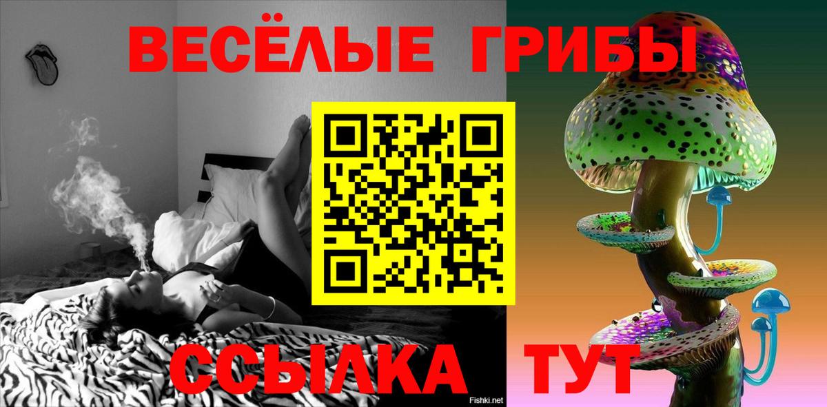 Псилоцибиновые грибы мицелий Людиново